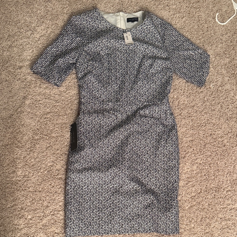 The Limited Blue and White Midi Dress